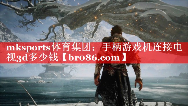 mksports体育集团：手柄游