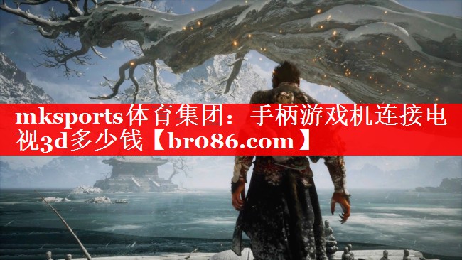 手柄游戏机连接电视3d多少钱